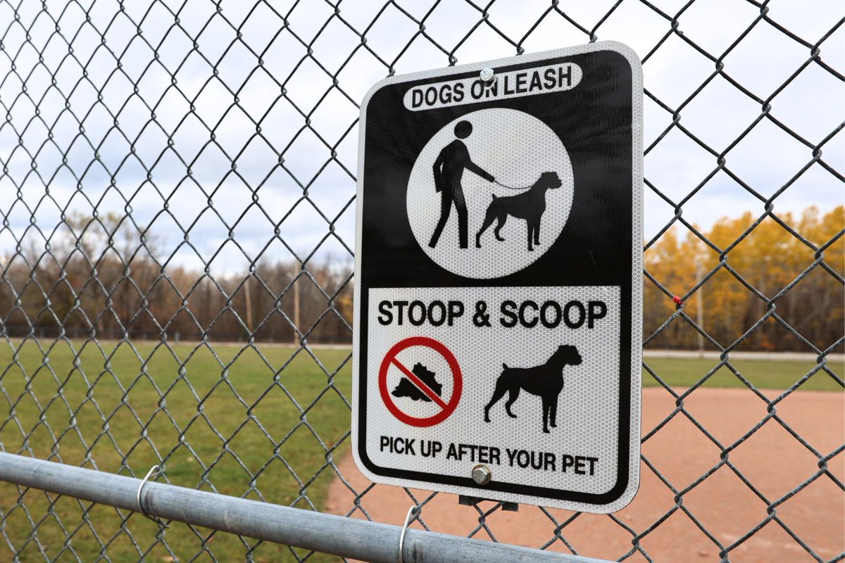 Reminder #TayTownship: Dogs must be leashed on all Township property — parks, trails, diamonds, etc. 🐕‍🦺
📍Off-leash dog park at 5123 Talbot St., Port McNicoll (Ontario SPCA). Open daily, use at own risk.
🔗 More info at: ontariospca.ca/midland | tay.ca/parks