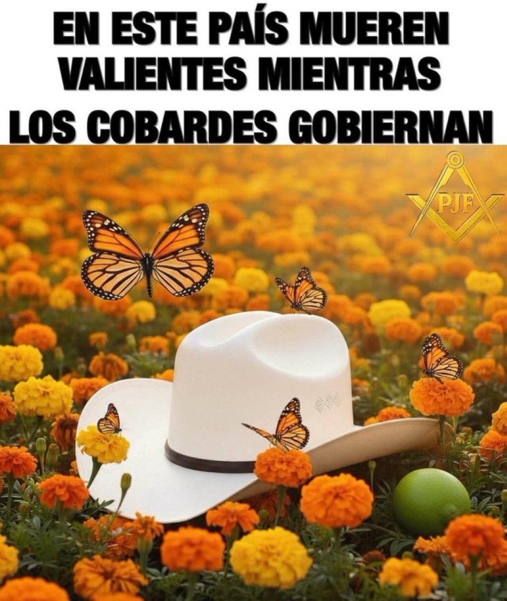 ¡Baia, Baia!
Claro ejemplo de lo que le importa el Pueblo.
#GeneracionZ 
#NarcoGobiernoDeMorena 
#FueClaudia