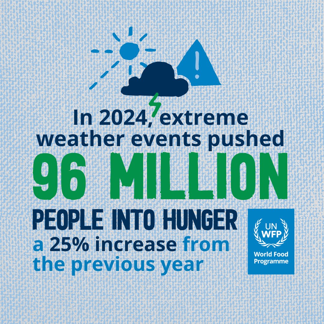 World Food Programme tweet media