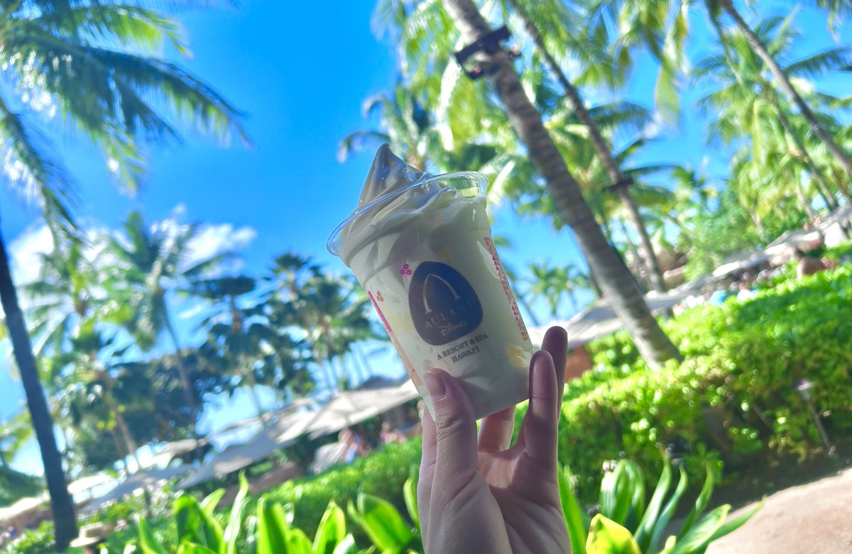 研修のため会社の金でハワイに来ていますね🌺
もう3日目ですがずっとメチャいい天気！