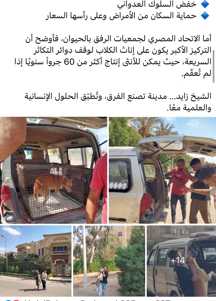 والله تحياتي لزايد والقائمين على جهاز المدينة الناس الوحيده الي شايفه شغلها تقريبا