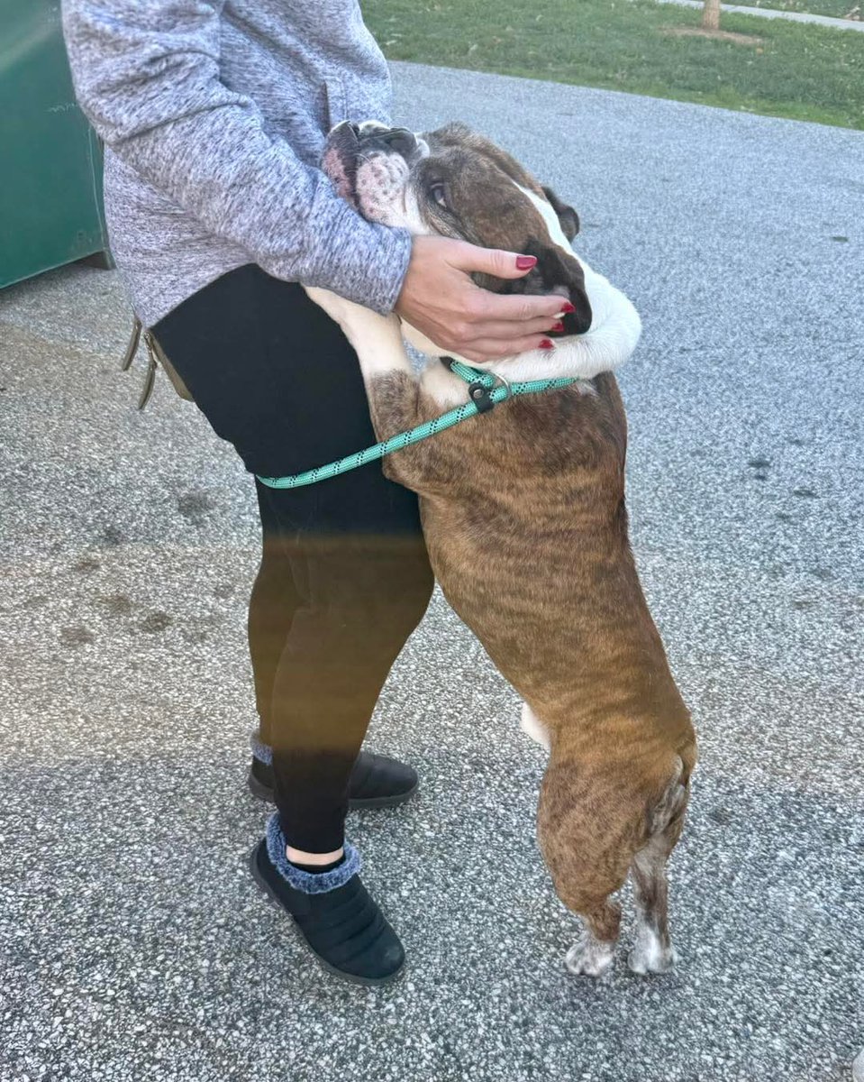 Michele Guyton tweet media