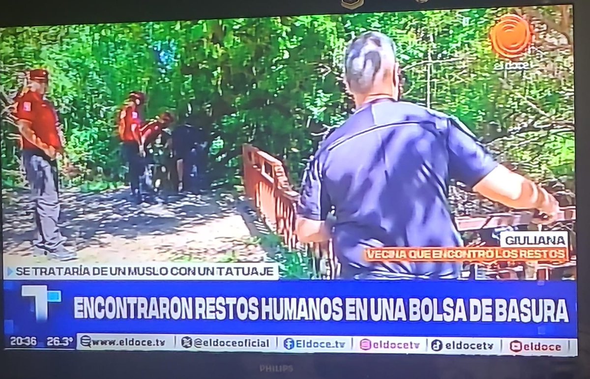 Otro macabro hallazgo de restos humanos en un descampado de General Urquiza nos estremece. 

Pero no sorprende: hace meses relevamos más de 300 basurales en Córdoba.
Zonas sin control, sin iluminación y sin presencia estatal, donde todo puede pasar.  Ya van dos cuerpos hallados