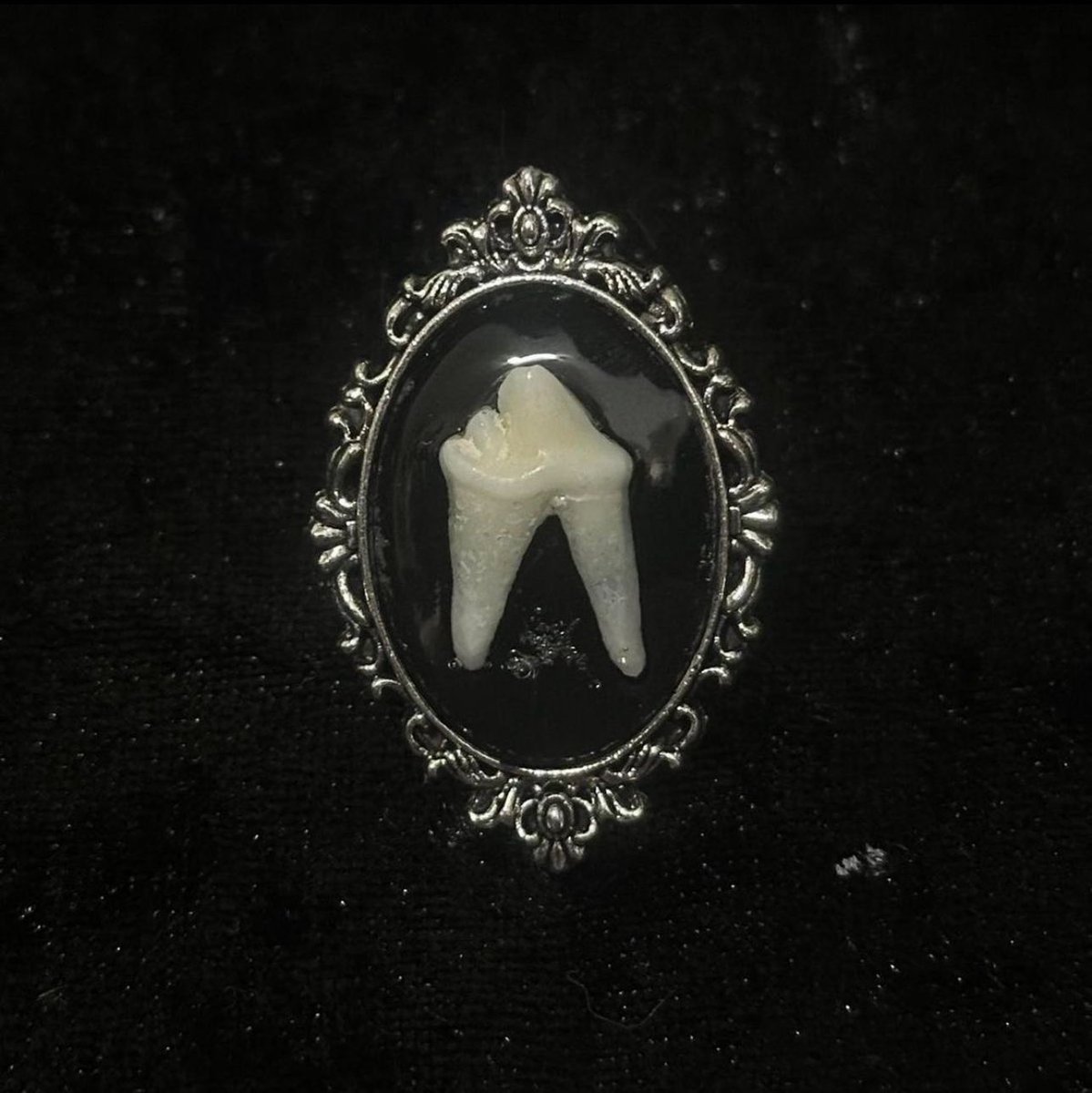 oddities for the strange and unusual