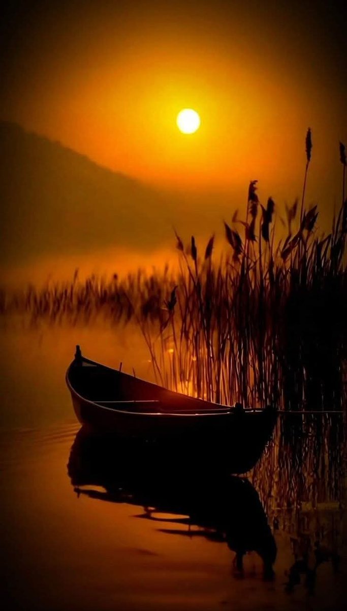 Boa noite 🌷 🌷🌷

Que a noite chegue trazendo energias
 tranquilas, carinho, beleza, mansidão, e  tudo  que conforta o espírito, que relaxa o corpo e restaura as forças.
 Tudo que converte cansaço em gratidão.