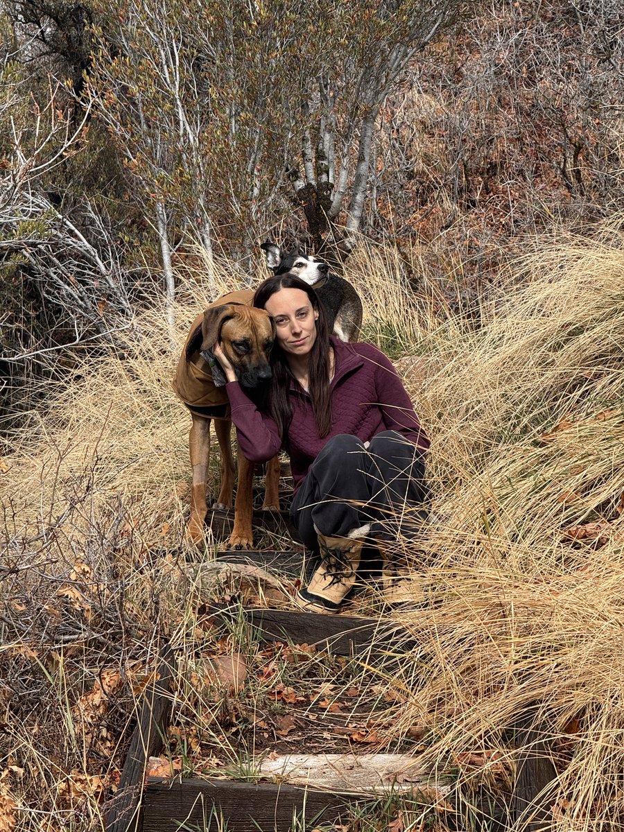 Jason Shepherd tweet media