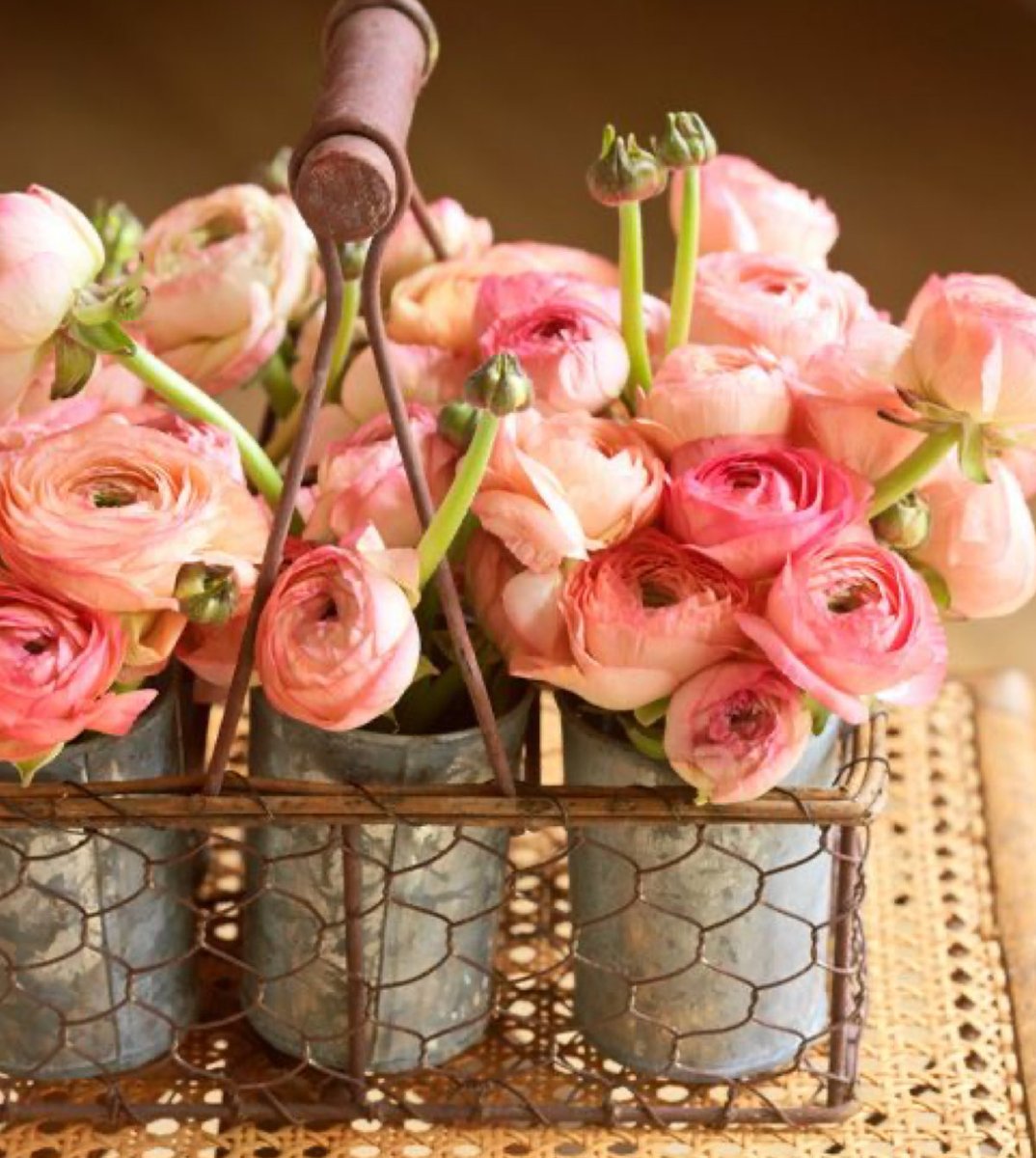 Simply pretty things on 𝕏