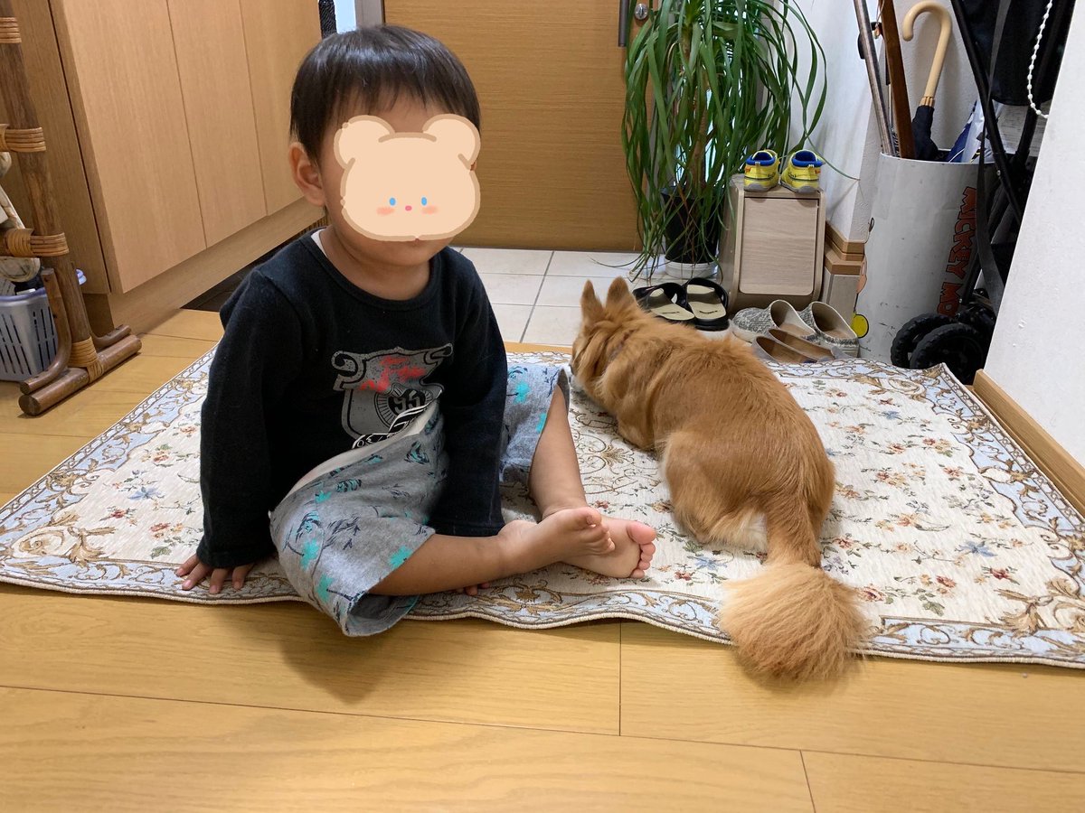 ちゃいくん🌈 (@chaixfunfun) / Posts / X