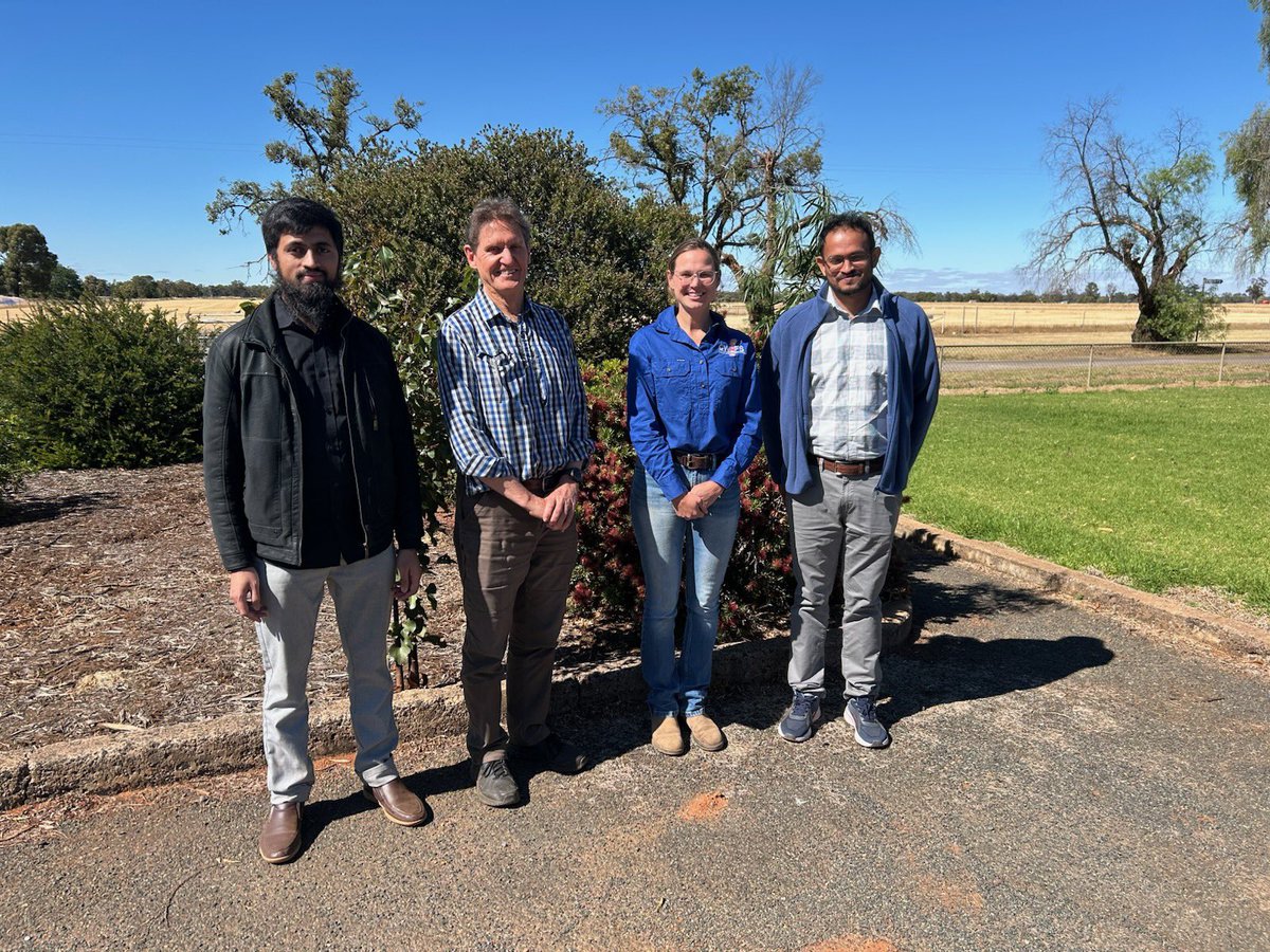 This morning CWFS had a visit from Richard Bell (Murdoch University) inspecting our Soil CRC trial site. 

It was a great chance to walk the paddock together and dig deeper into the factors that shape successful summer cover crop decisions. The discussion gave us plenty to