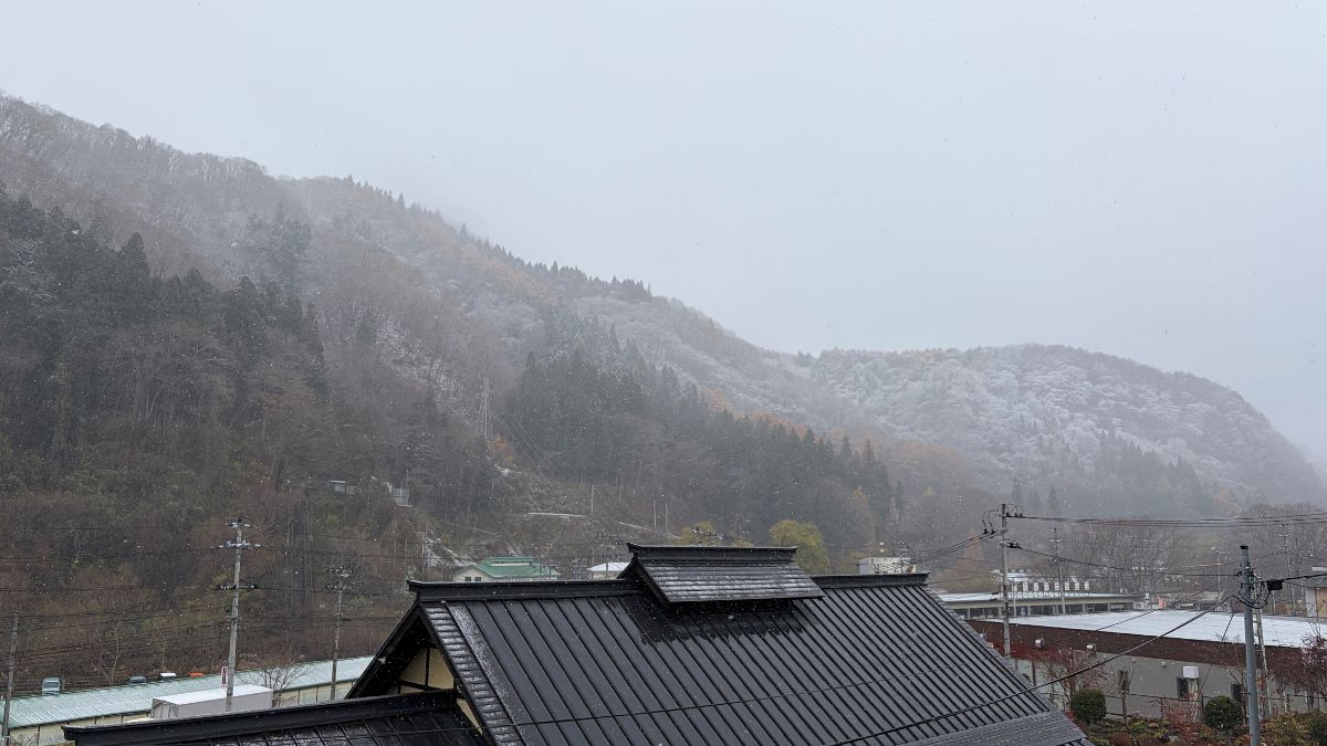 おはよがんす。

二戸市では、今朝うっすら雪が積もりました！
11月も後半になり、いよいよ冬本番です⛄️

みなさまのお住まいの地域はいかがですか？
風邪をひかないよう、暖かくしてお過ごしくださいね☺️