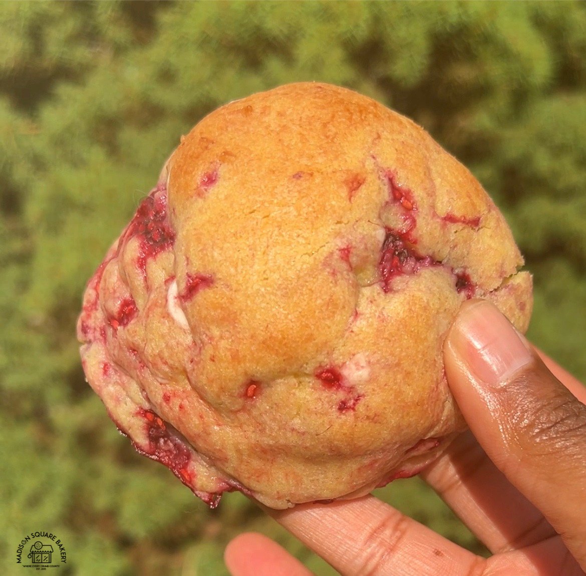 MadisonSqBakery's tweet image. When we say we have raspberry cookies, we mean it! Raspberry in every bite!