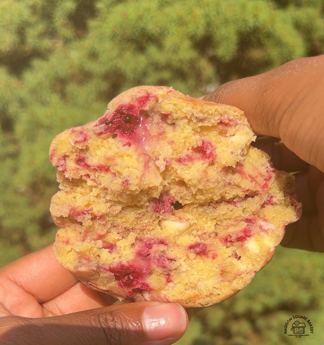 MadisonSqBakery's tweet image. When we say we have raspberry cookies, we mean it! Raspberry in every bite!