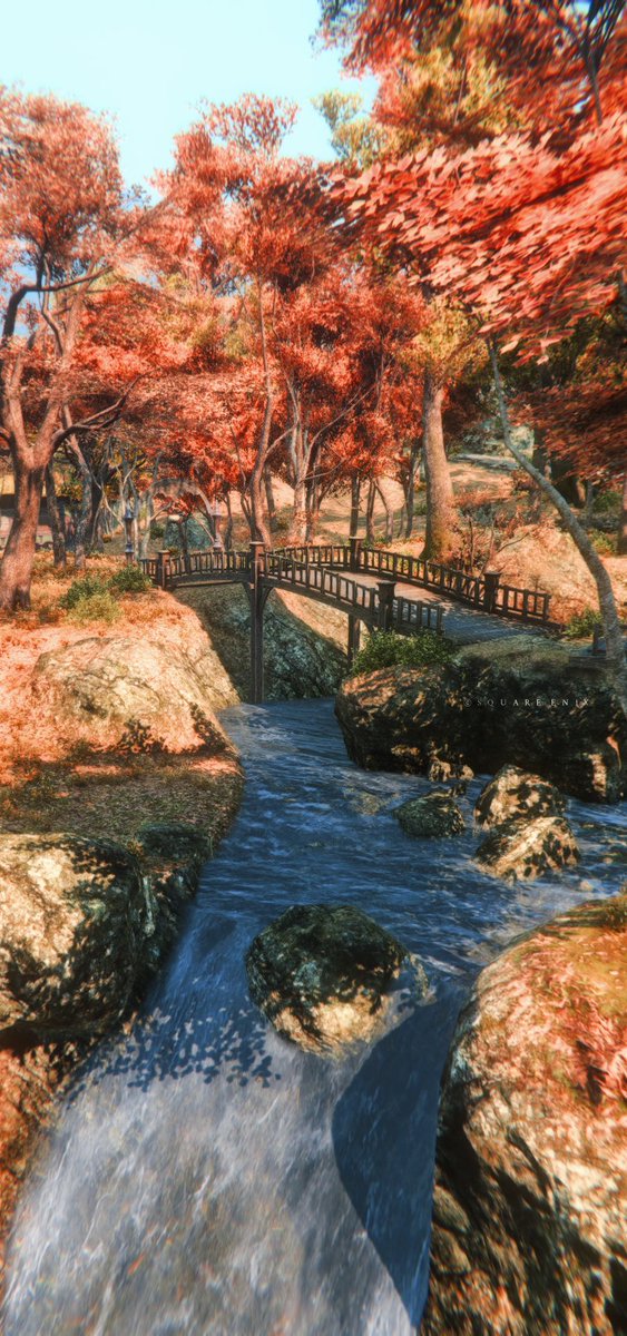 🍂彡
            🍂彡

     0(:3 ﾆ )～  

#FF14風景