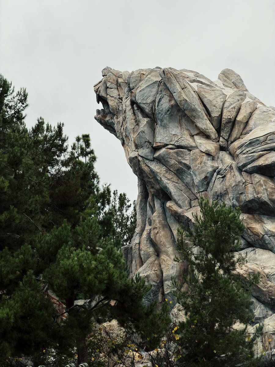 Calitopen tweet media