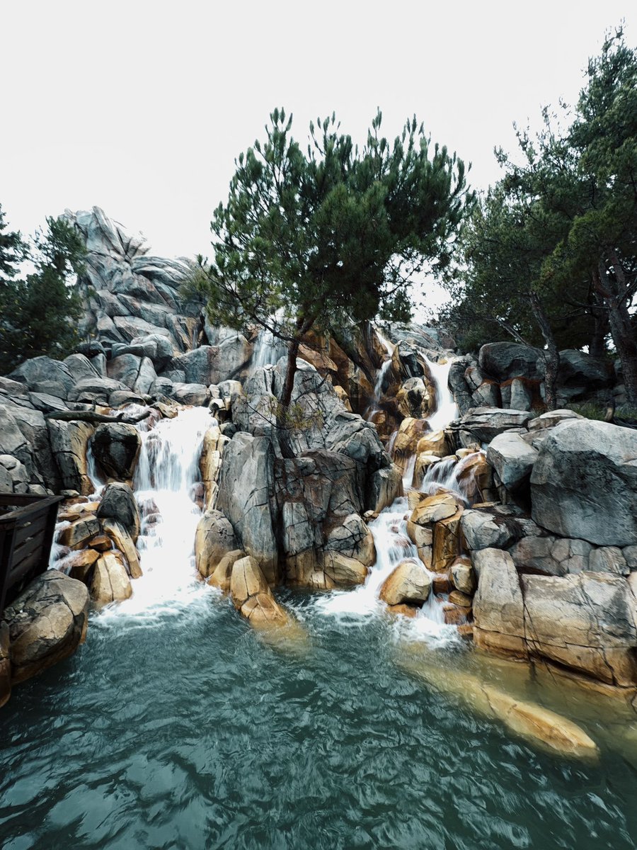 Calitopen tweet media