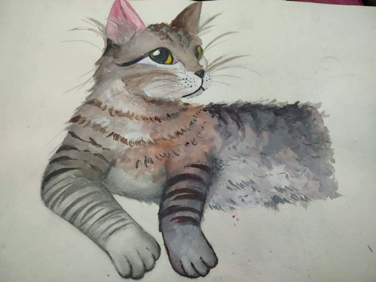 syoukeke's tweet image. mí peak estando en ésta carrera fué pintar a limón