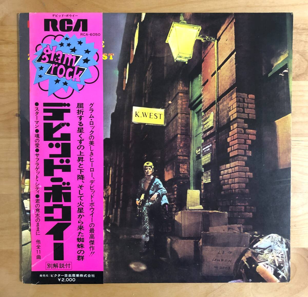 能登半島地震David Bowie アートプレート 能登半島地震David Bowie アートプレート 能登半島地震David Bowie