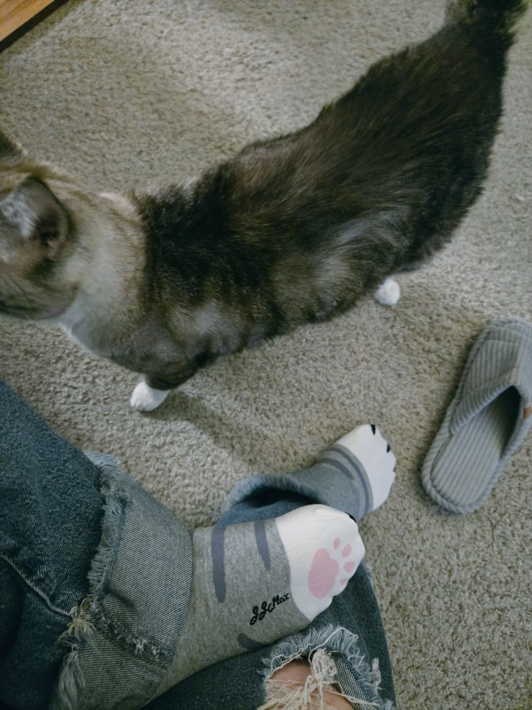 sojindo_'s tweet image. matchies