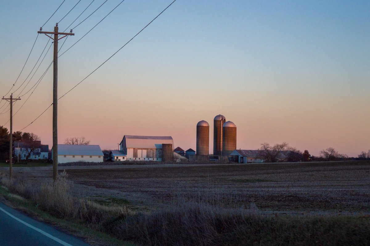 desolangels's tweet image. 