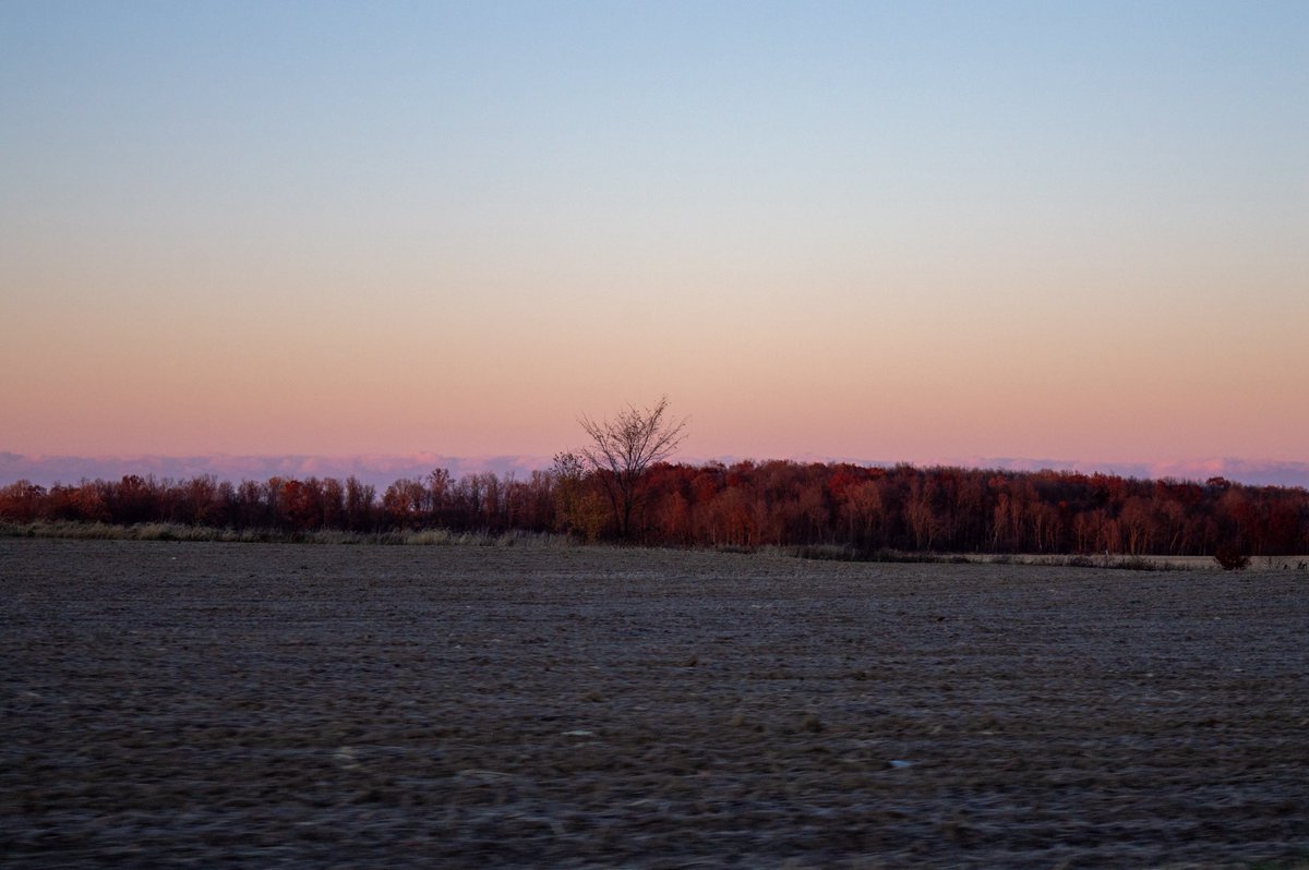 desolangels's tweet image. 