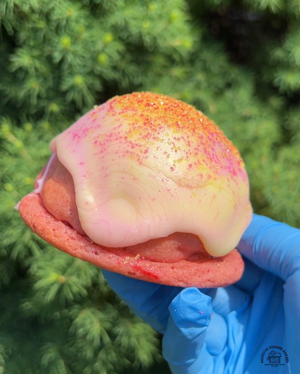 MadisonSqBakery's tweet image. Wednedays we wear Pink with this strawberry lemon pound cake cookie inspired by Trixie Mattel!