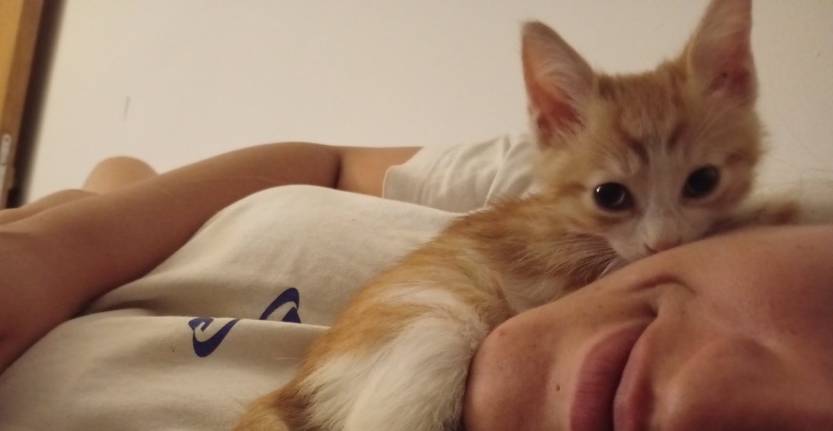 Çok özlüyorum sizi sevgili hayat arkadaşım ve kuduruk bebeğimiz :(