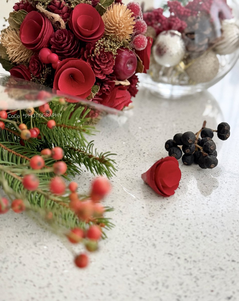 39coco39coco's tweet image. 創作中…

草越えて森🌳

#花のある暮らし 
#coco日和