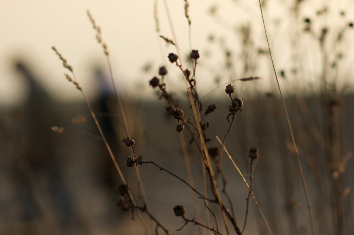 Holding the corriders, where our memory unfolds.. the isolation of a flame remembered...folding inside and waiting for that first break of Dawn..
© by Kelhayner