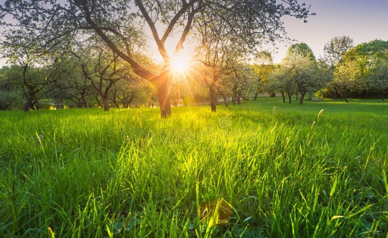 सफलता की लडाई अकेले ही लड़नी पड़ती है। 
भीड़ तो जीत का उत्सव मनाने के लिए होती हैं..?! 

Good morning x'mate 🌄