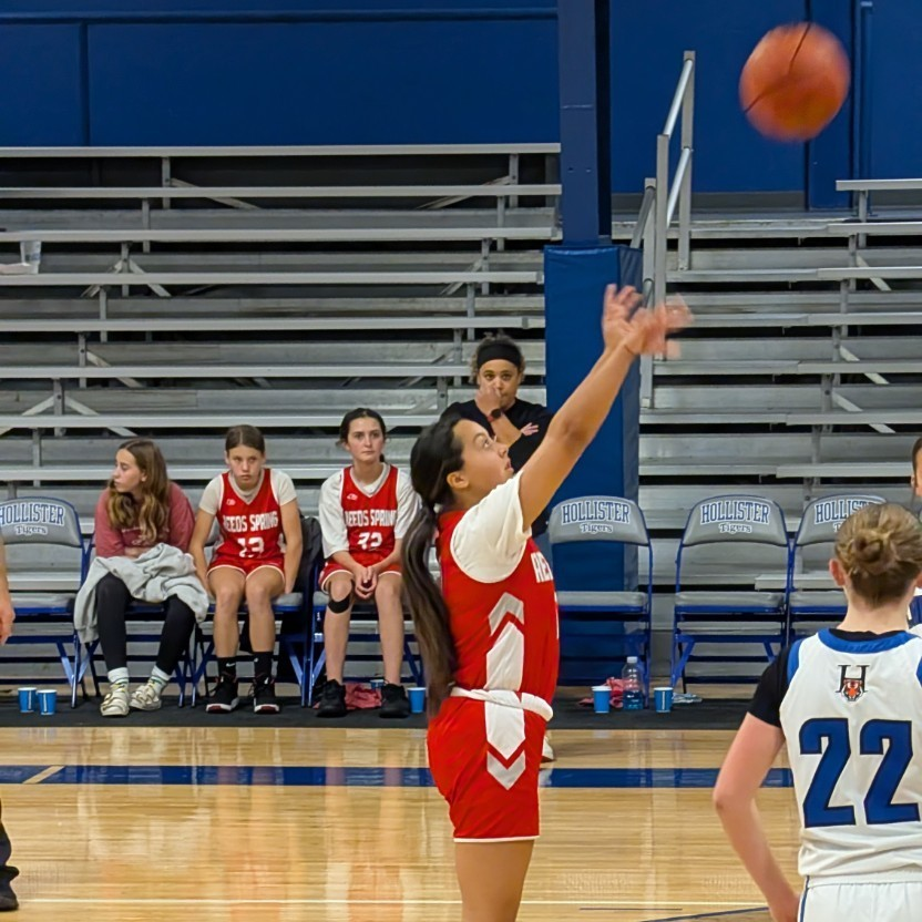 Reeds Spring MS tweet media