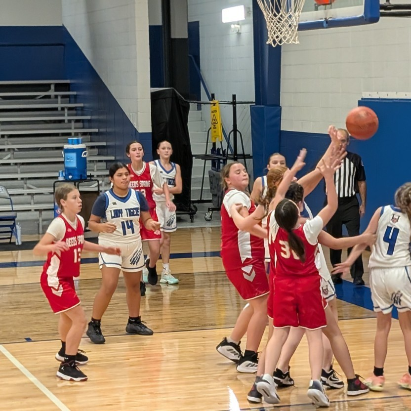 Great job by our girls basketball team competing at Hollister!
#GoWolves