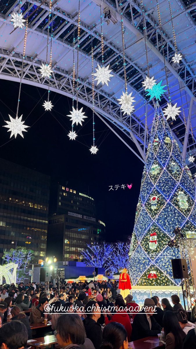 橋本朗子 tweet media