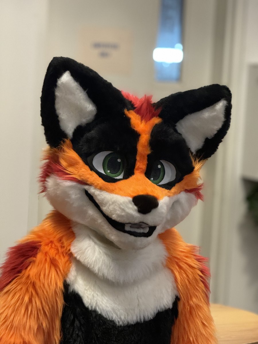 Chase the Fox tweet media