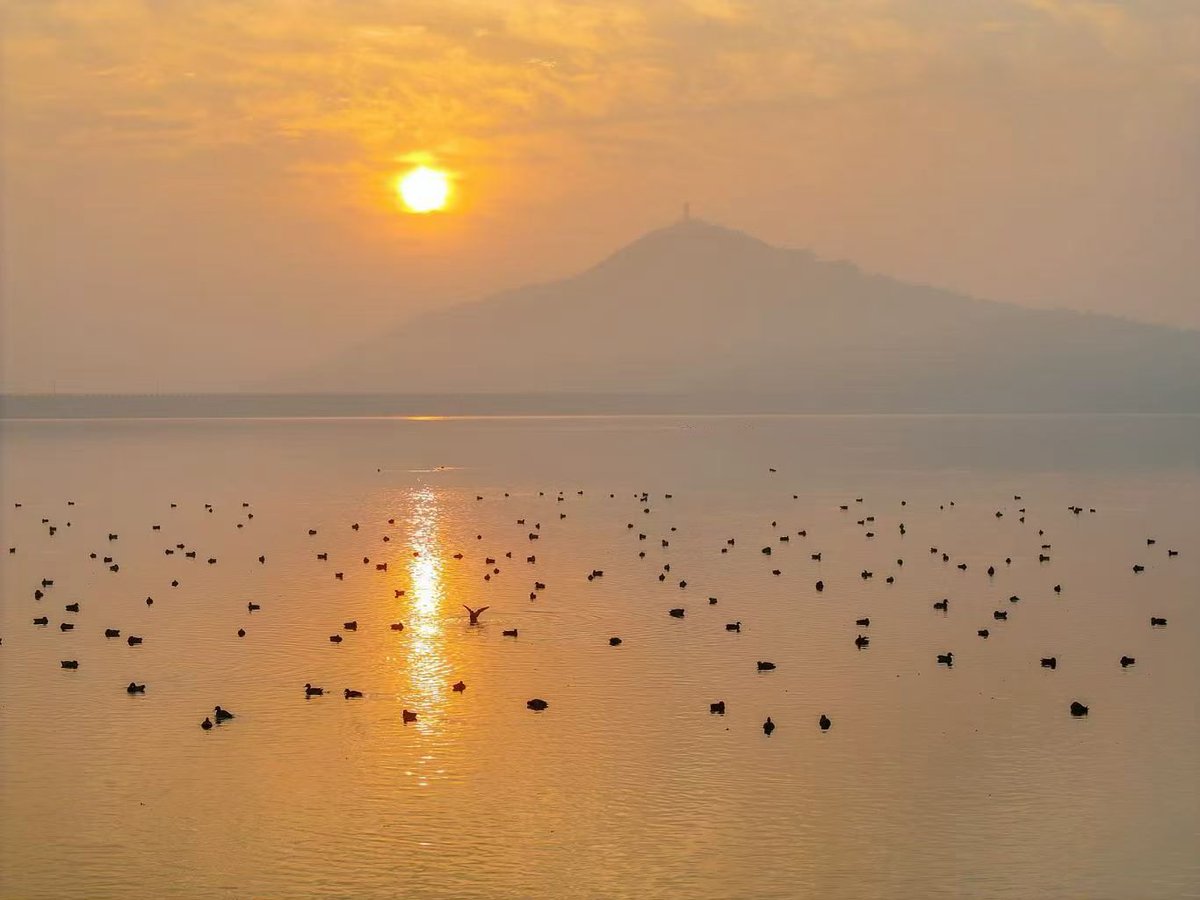 fossettevv's tweet image. 仙山湖的日出🌅