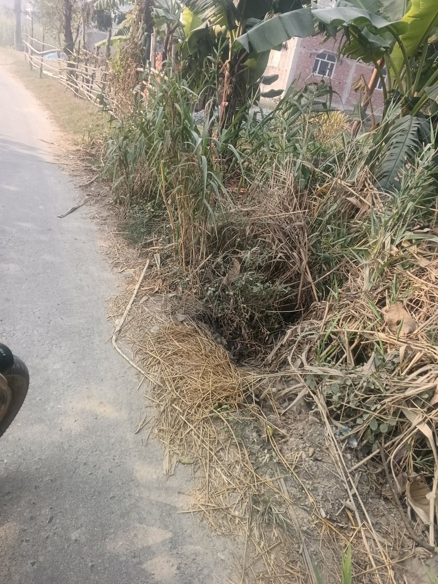 कुशीनगर के विकास खण्ड रामकोला  के लाला छपरा में टूटी पुलिया रेलिंग बड़ा हादसा हो सकता

<a href="/uppwdofficial/">Public Works Department, Uttar Pradesh</a> 
<a href="/dm_kushinagar/">DM Kushinagar</a>
<a href="/CdoKushinagar/">CDO Kushinagar</a> 
<a href="/CMOfficeUP/">CM Office, GoUP</a> 
<a href="/Vijaydubeybjp/">Vijay Kumar Dubey (Modi Ka Parivar)</a> 
<a href="/dio_kushinagar/">जिला सूचना कार्यालय, कुशीनगर</a>