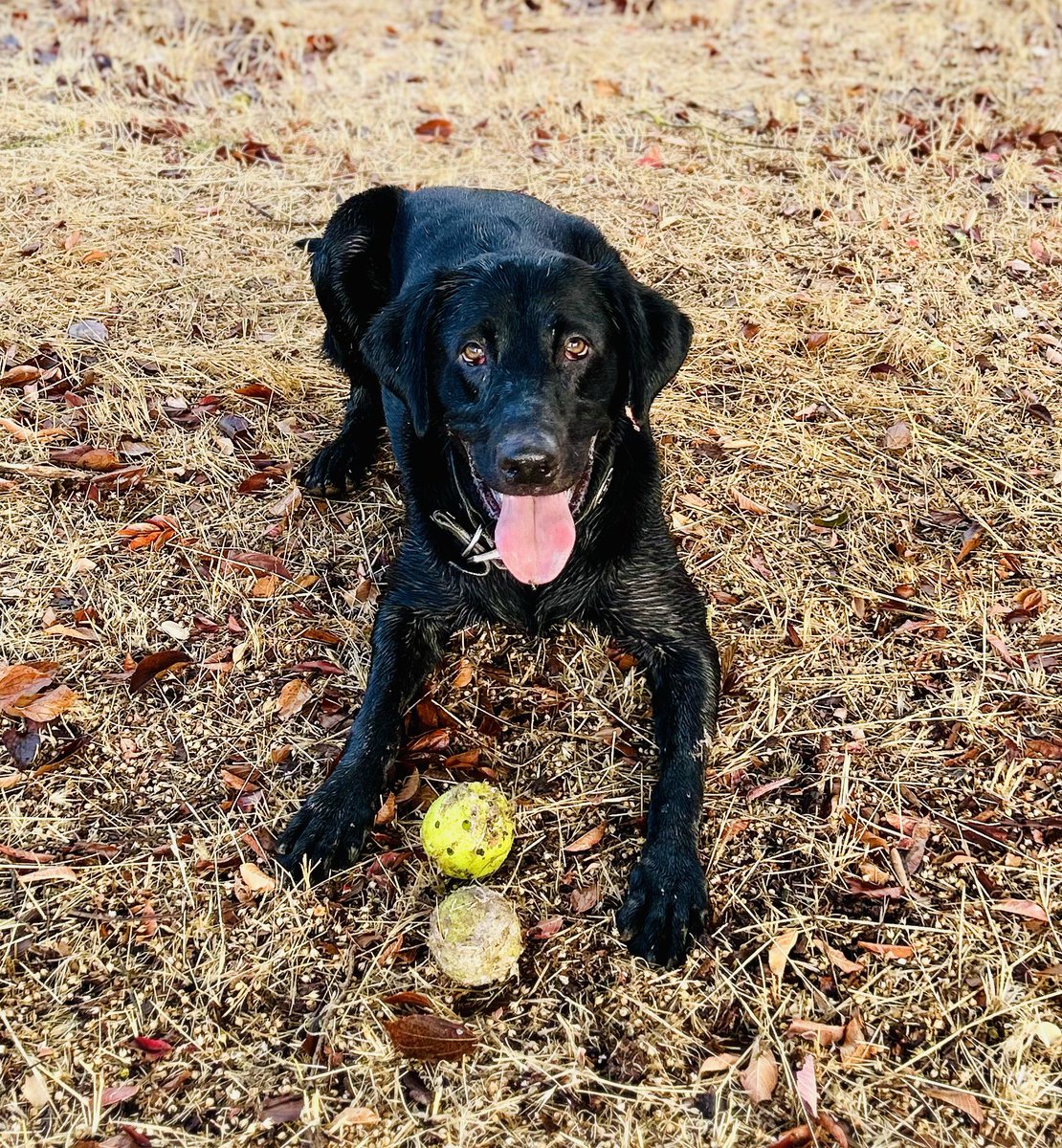 Beamer says , "Welcome home, Coach Franklin!!"