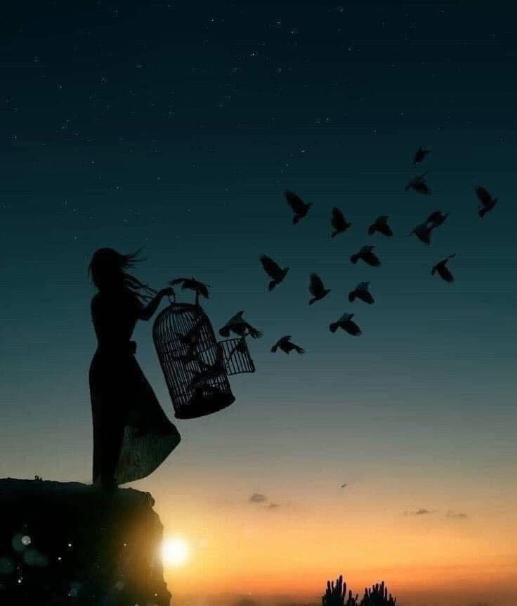 Y cuándo un sueño muere, hay que ser capaz de construir otro y otro y otro más,porque se trata de que nada te paralice ni siquiera 
el miedo por soltar..
#FelizNoche 🌙🌟
