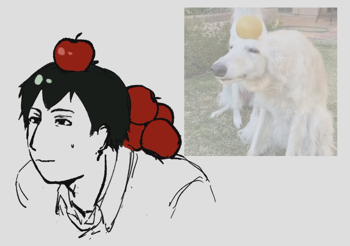 nsibdw's tweet image. goodboy