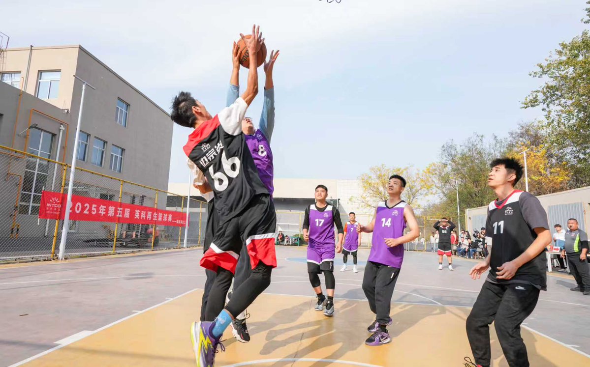 IntcoH72474's tweet image. Get ready for some friendly competition🏀
Whether you&apos;re dunking or just having fun, it’s all about the team spirit. 

#basketball #company #intcodecor #teamspirit