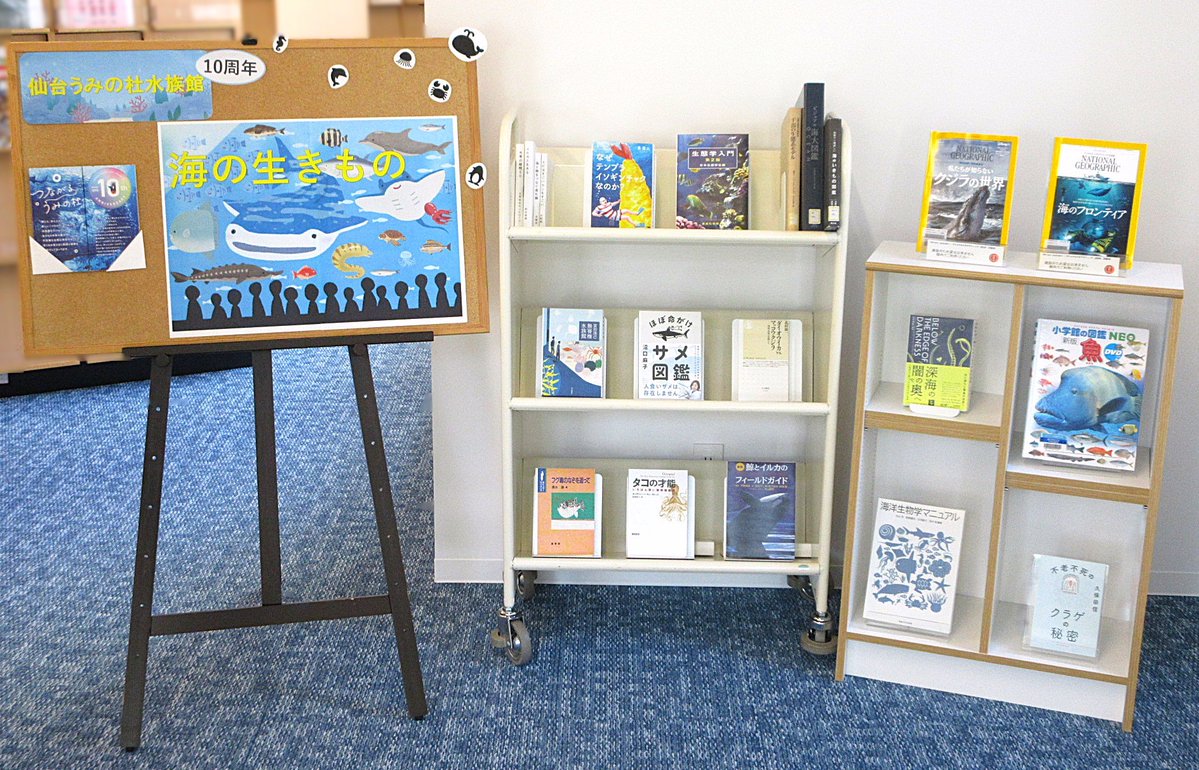 TGU_Lib's tweet image. コラトリエ・ライブラリー（図書館）4階展示コーナーで「海の生きもの」展示開催中です🐳🐧🐠
今年7/1に、仙台うみの杜水族館は開園10周年㊗を迎えました。10周年を記念して海に生息する生きものへの知識がギョギョッ🐟‼と深まる図書を集めました🐬🦀🦭🦑

▼展示資料リスト
lib.tohoku-gakuin.ac.jp/opac/opac_sear…