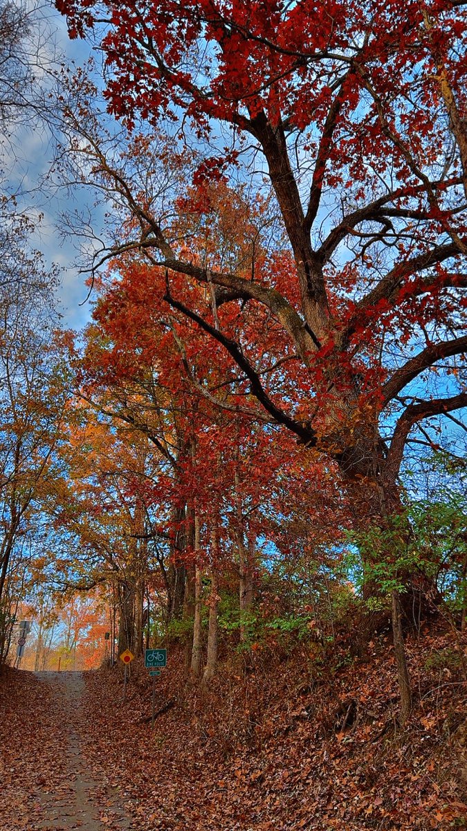 ViewsAndBeauty's tweet image. 🍂 🍁 🤎