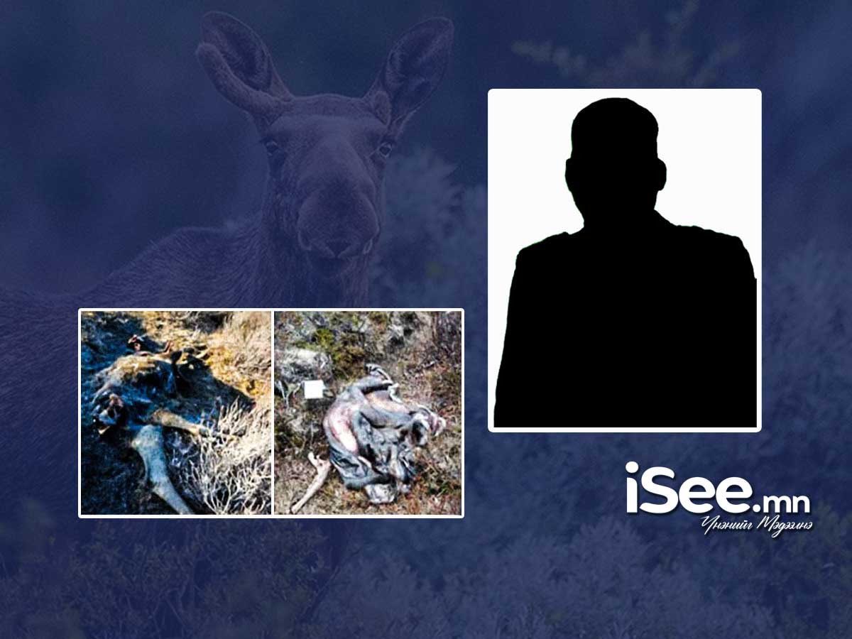 Хилийн цэргийнхэн "Молцог хандгай"-г төлтэй нь хамт хууль бусаар агнаад, тугалынх нь махыг шулж аваад явсан ноцтой хэрэг гарчээ isee.mn/n/84713 Тодруулбал, Хилийн цэргийн 0257 дугаар ангийн харьяа Улаан-Уул суман дахь 0298 дугаар салбарын заставын дарга М.Баярсайхан гэгч