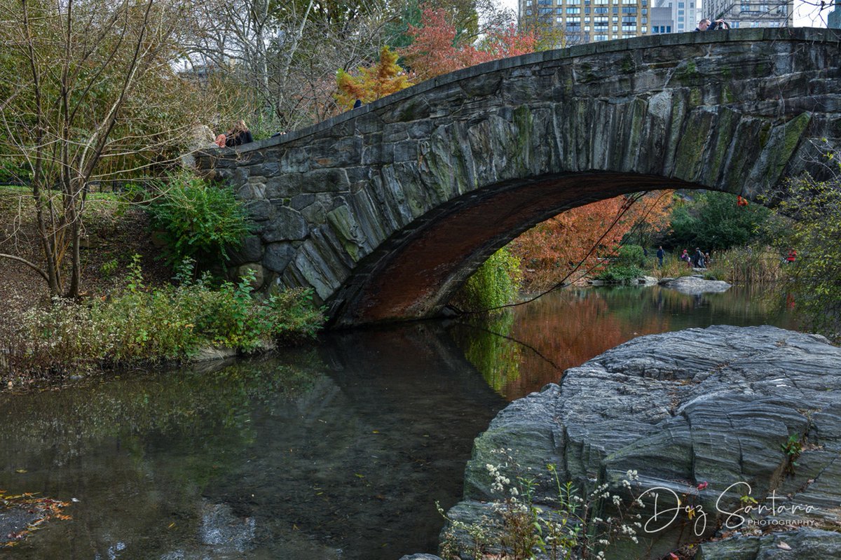 DezSantanaPhoto's tweet image. Autumn Is Calling 🍁🍃 🍂
#autumn #fallcolors #nyc