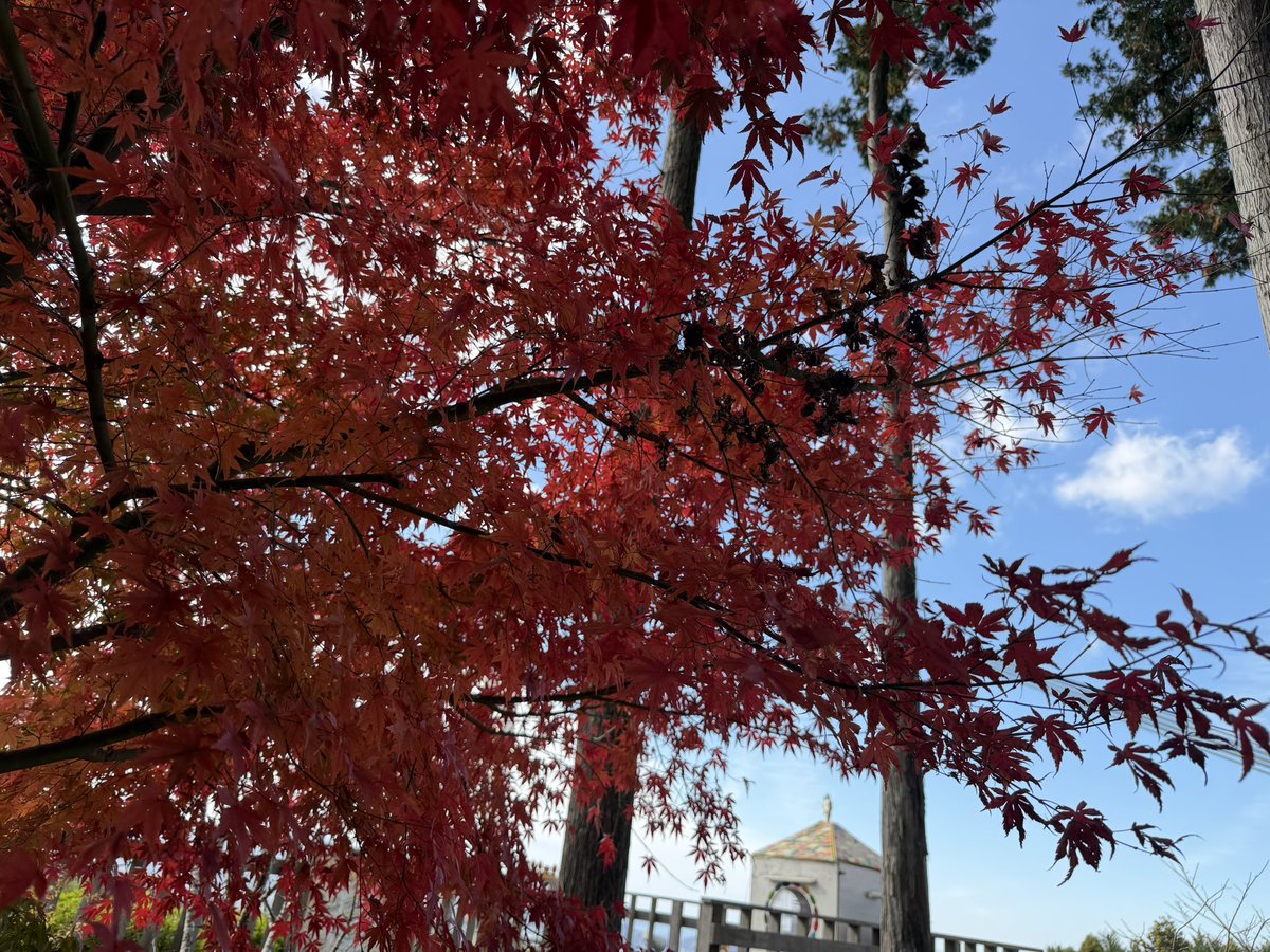 kumatea14's tweet image. 