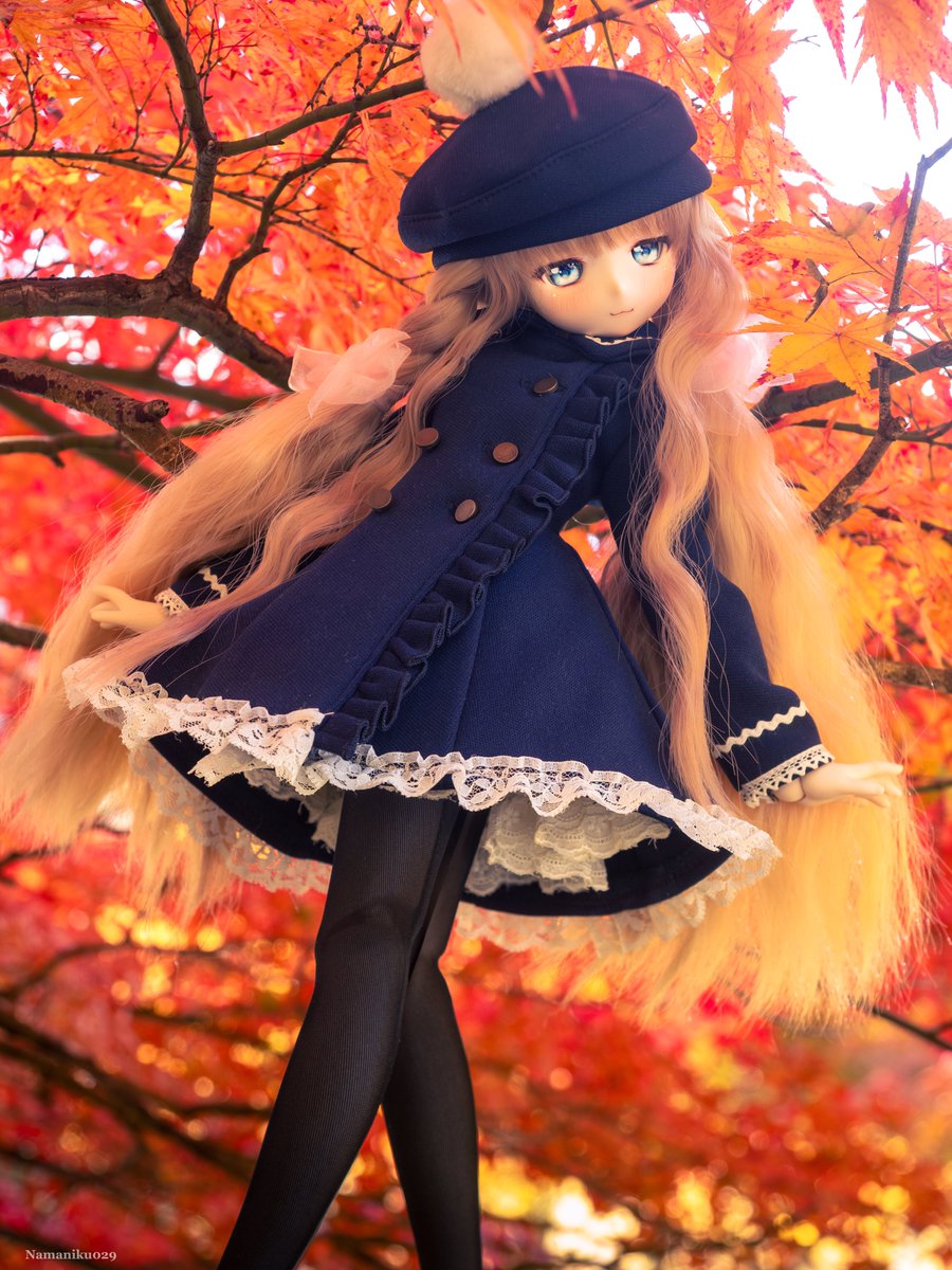 Namaniku0291129's tweet image. もみじが綺麗でした(´ω｀)🍁