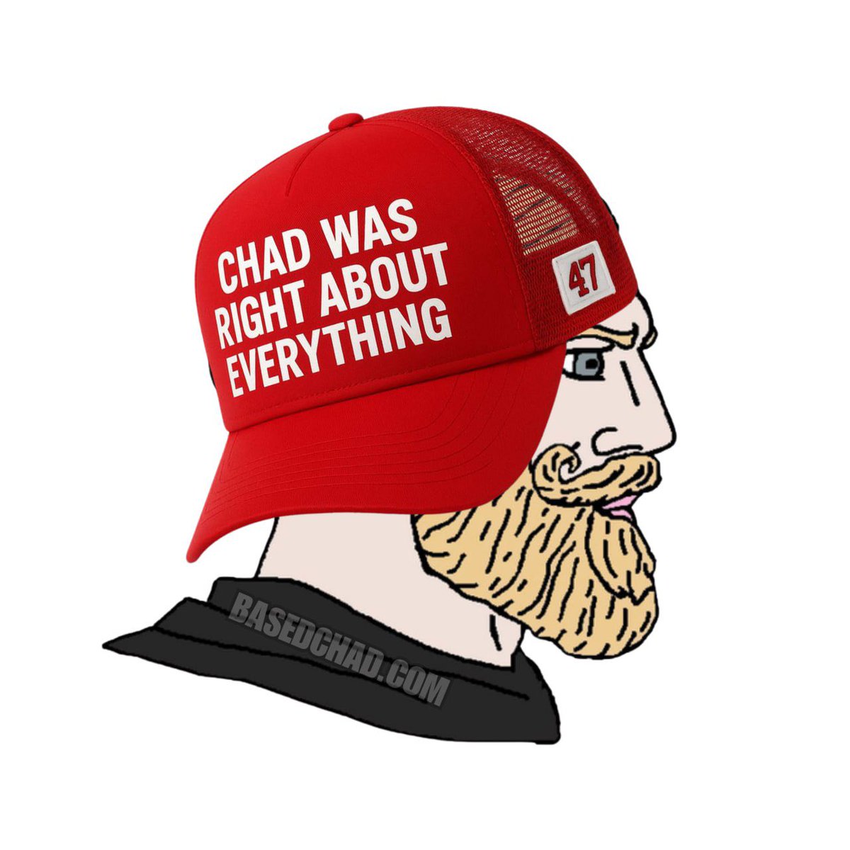 1️⃣ $CHAD gave my life purpose from day one. Since March 19, 2024, I’ve never been the same. Dreams became real. 🔥

2️⃣ $CHAD transformed my habits. My family. My entire perspective on life. 💪 

3️⃣ In my meditations and dreams, $CHAD revealed a future I never imagined. 🌌 

4️⃣