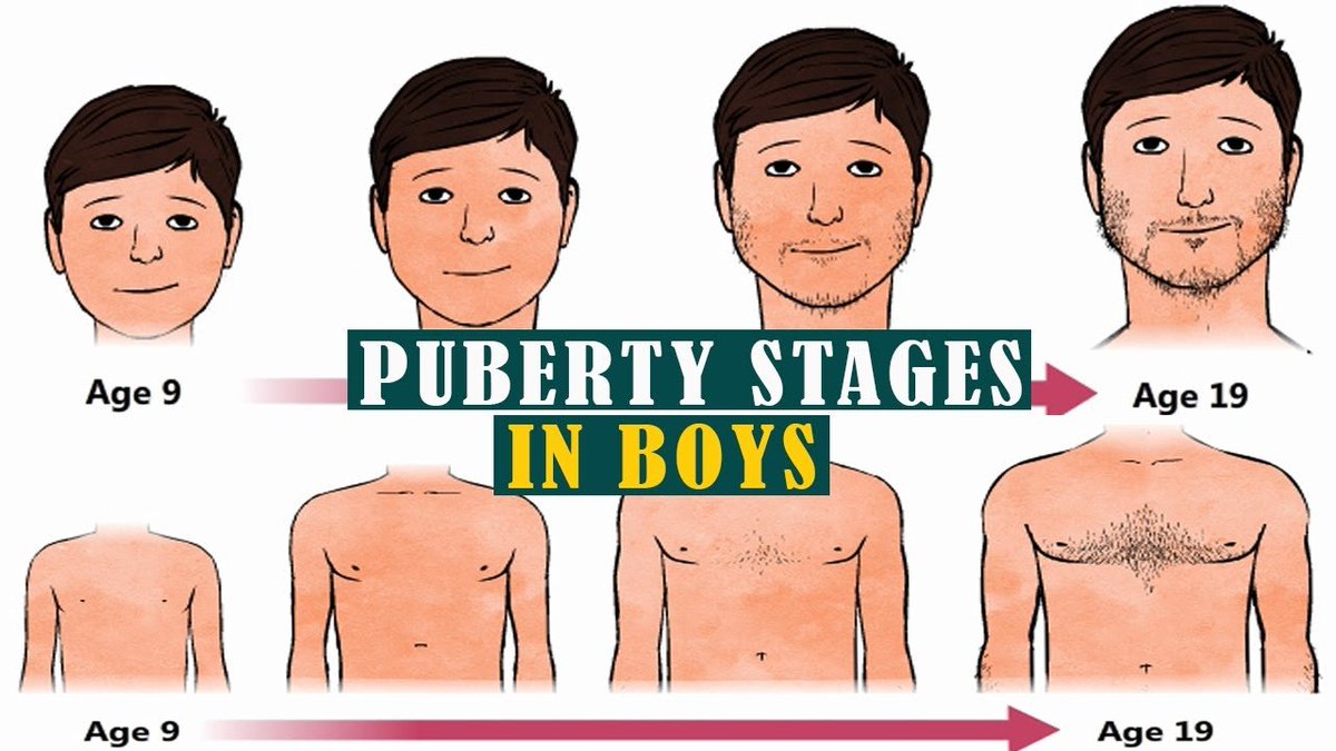 JulieParker144's tweet image. &quot;Puberty doesn’t just change the body. It also affects emotions. Boys may feel a wide range of emotions during this time. They might feel happier or sadder than usual. They could also feel more angry or frustrated. They are caused by the hormones in their bodies.&quot; #puberty
