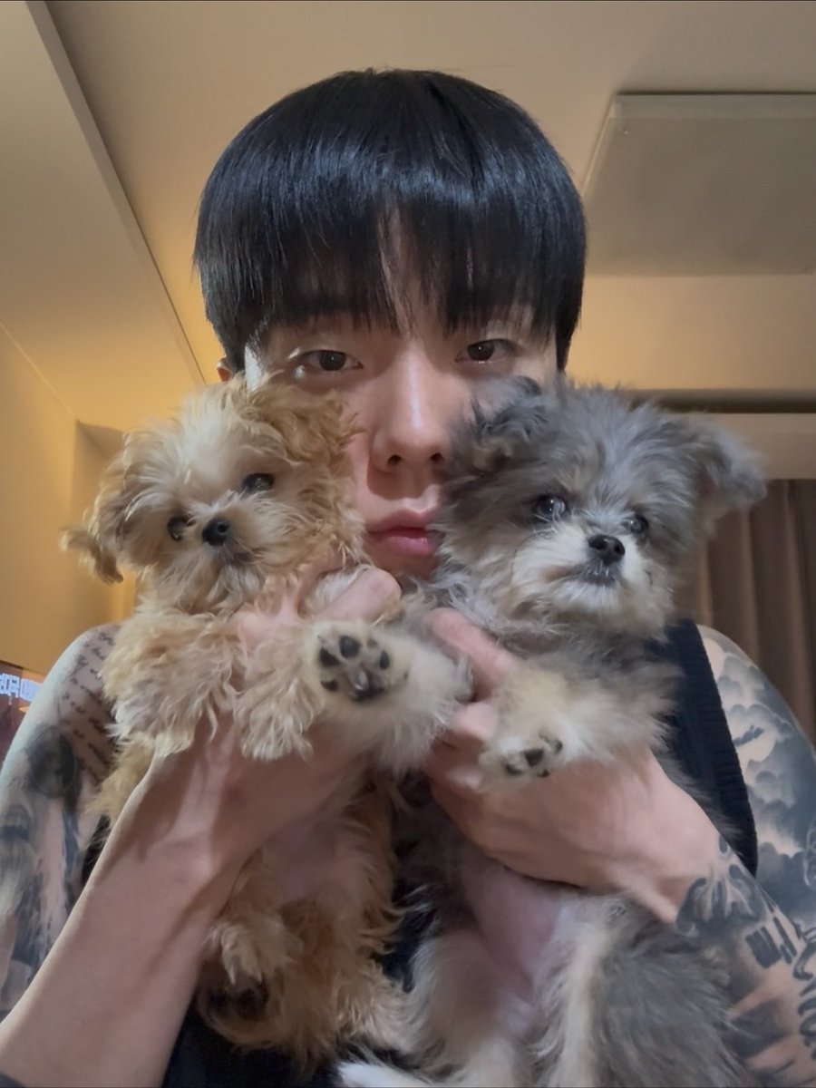 TOILUPDATES's tweet photo. [181125]

Toil made a new post on instagram

“New squad”

#TOIL #토일 https://t.co/HhzYoN2Zob