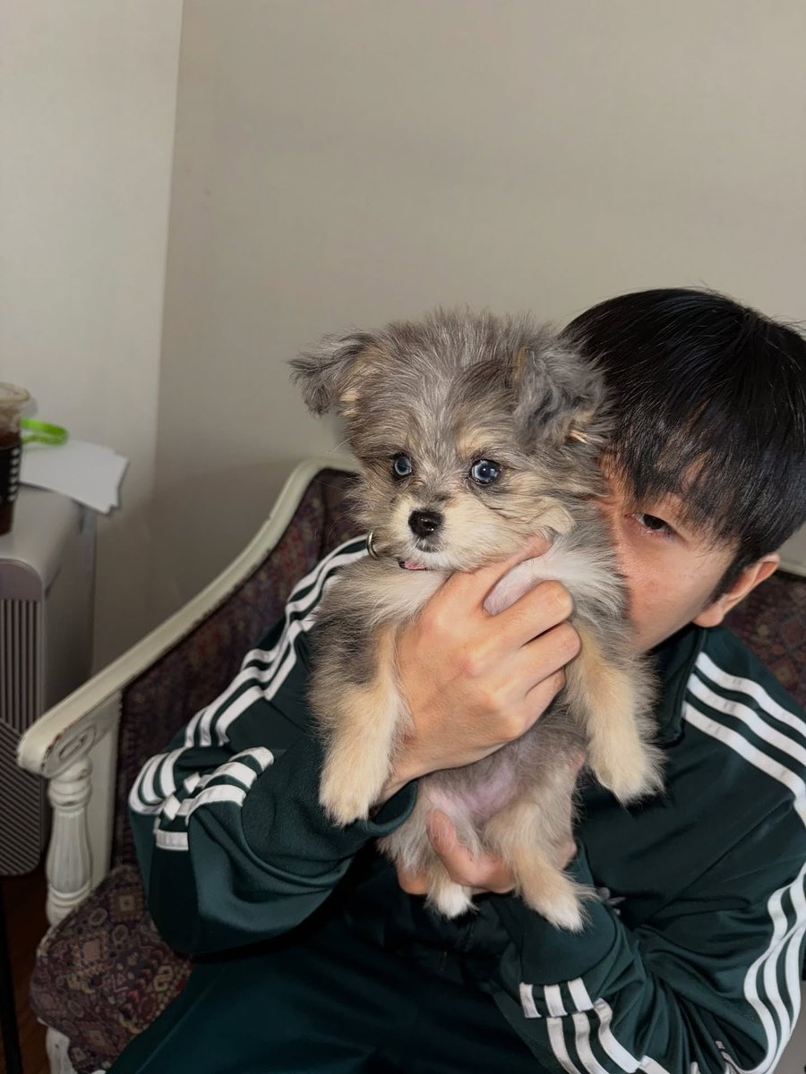 TOILUPDATES's tweet photo. [181125]

Toil made a new post on instagram

“New squad”

#TOIL #토일 https://t.co/HhzYoN2Zob