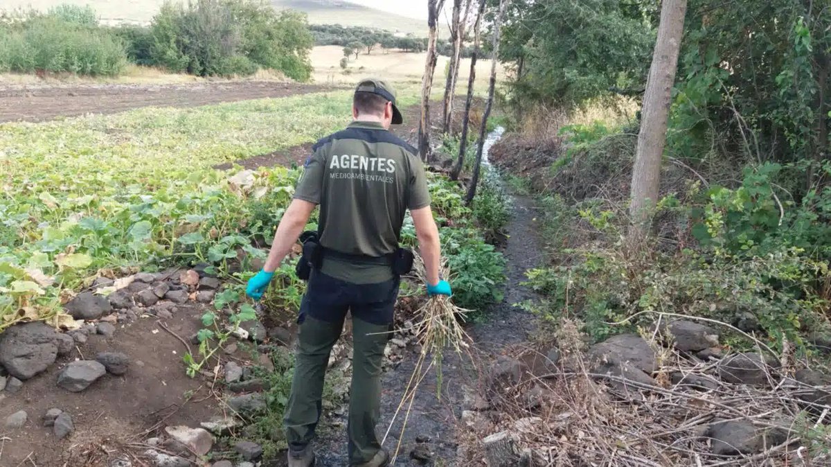 🚔🌳Asoc. Agentes Medioambientales CLM tweet media